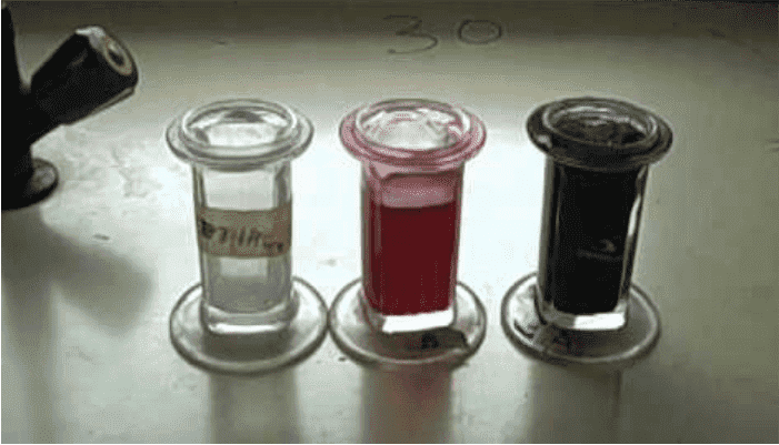 Acid-Fast Stain