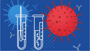 Bacterial Serology Test