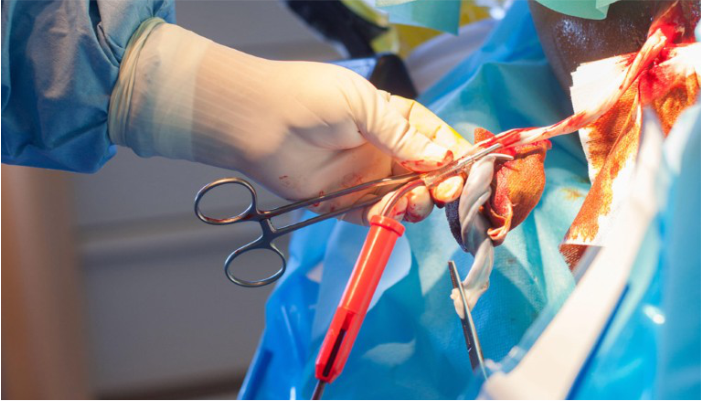 Cord Blood Screen