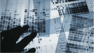 Identification DNA Testing