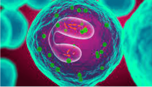 eosinophil count test