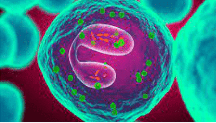 eosinophil count test