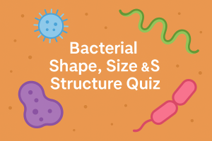 bacterial shape and structure quiz